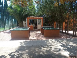 campamento de inglés para colegios en Valencia - casita