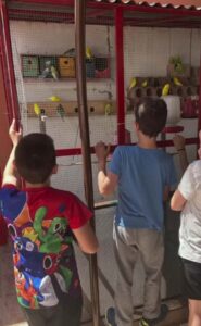 Campamentos de verano para adolescentes en Valencia - Niños